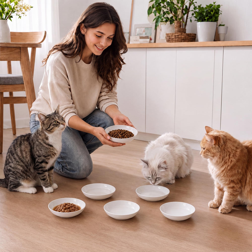 AHX ensemble posé dans cuisine moderne, esthétique et pratique