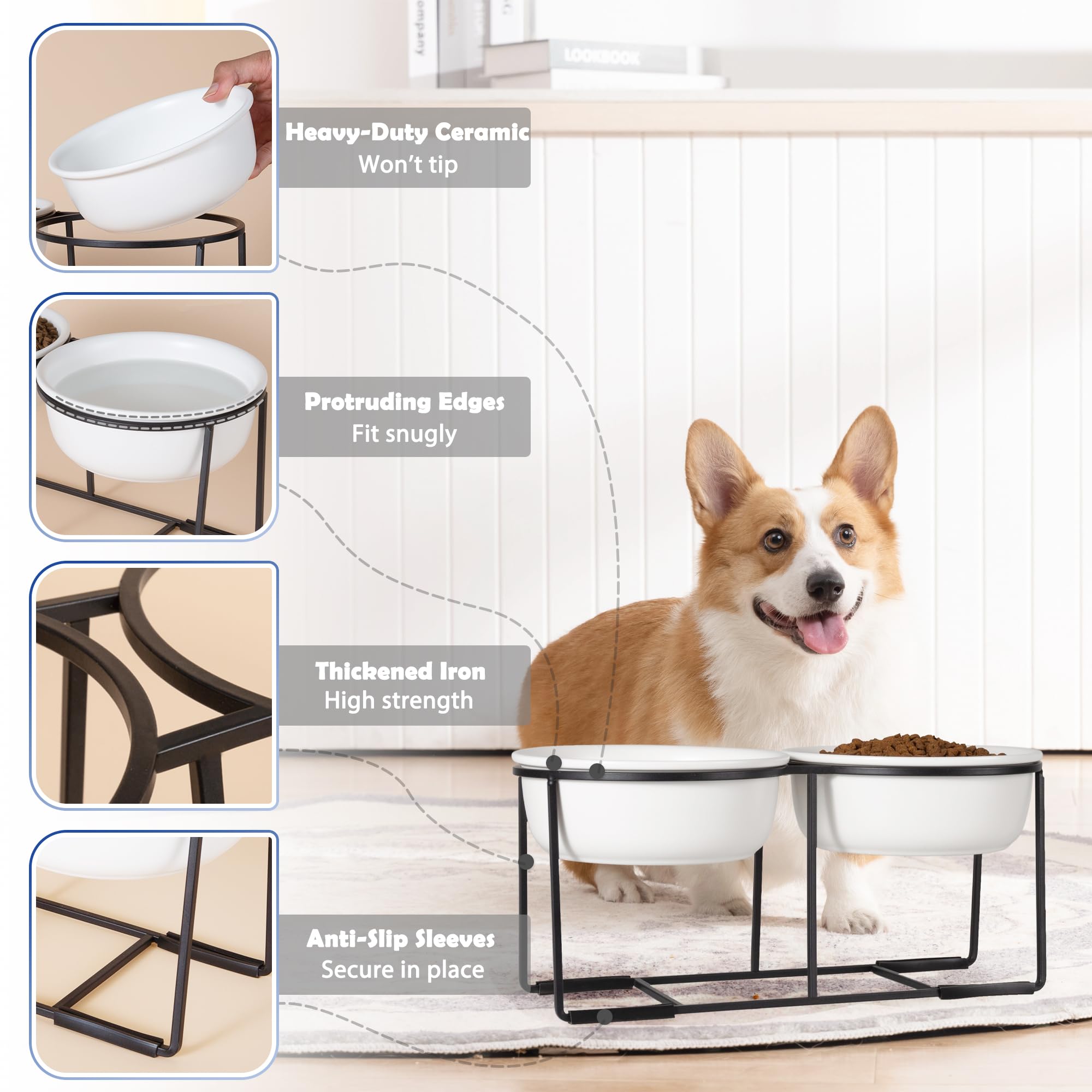 AHX gamelles en usage avec chien moyen montrant posture confortable