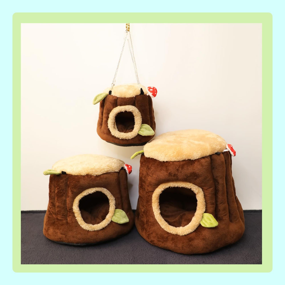 Aichillatum mise en scène dans cage décorative pour espace cosy