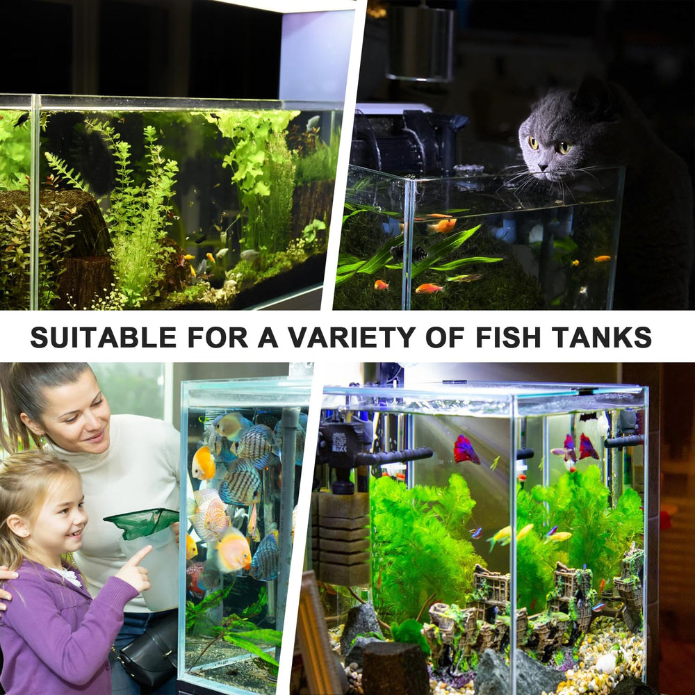 Comparaison d'échelle Aidmi montrant la taille du porte-plantes pour petits aquariums