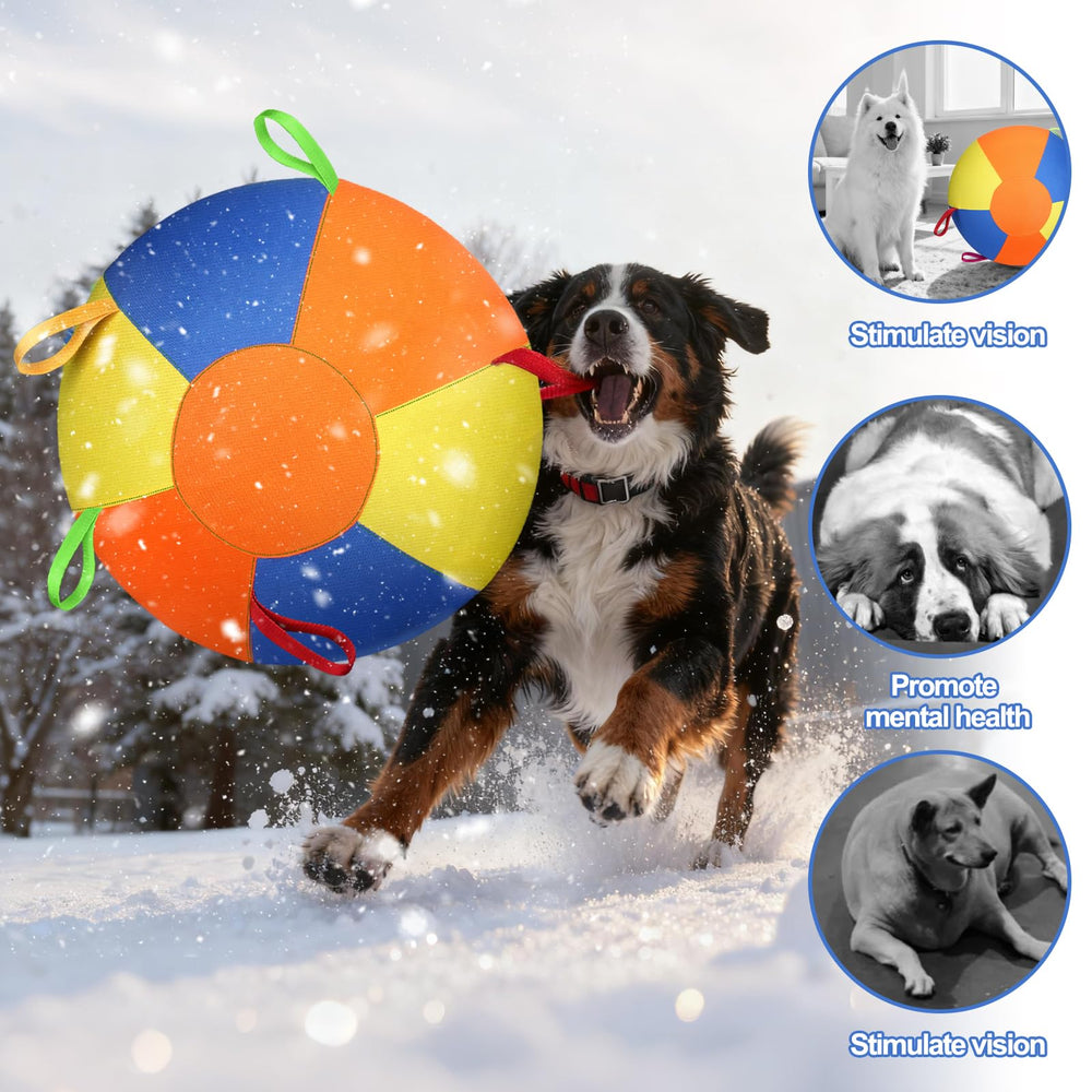 AIERSA balle en jeu avec chien stimulant exercice et entraînement