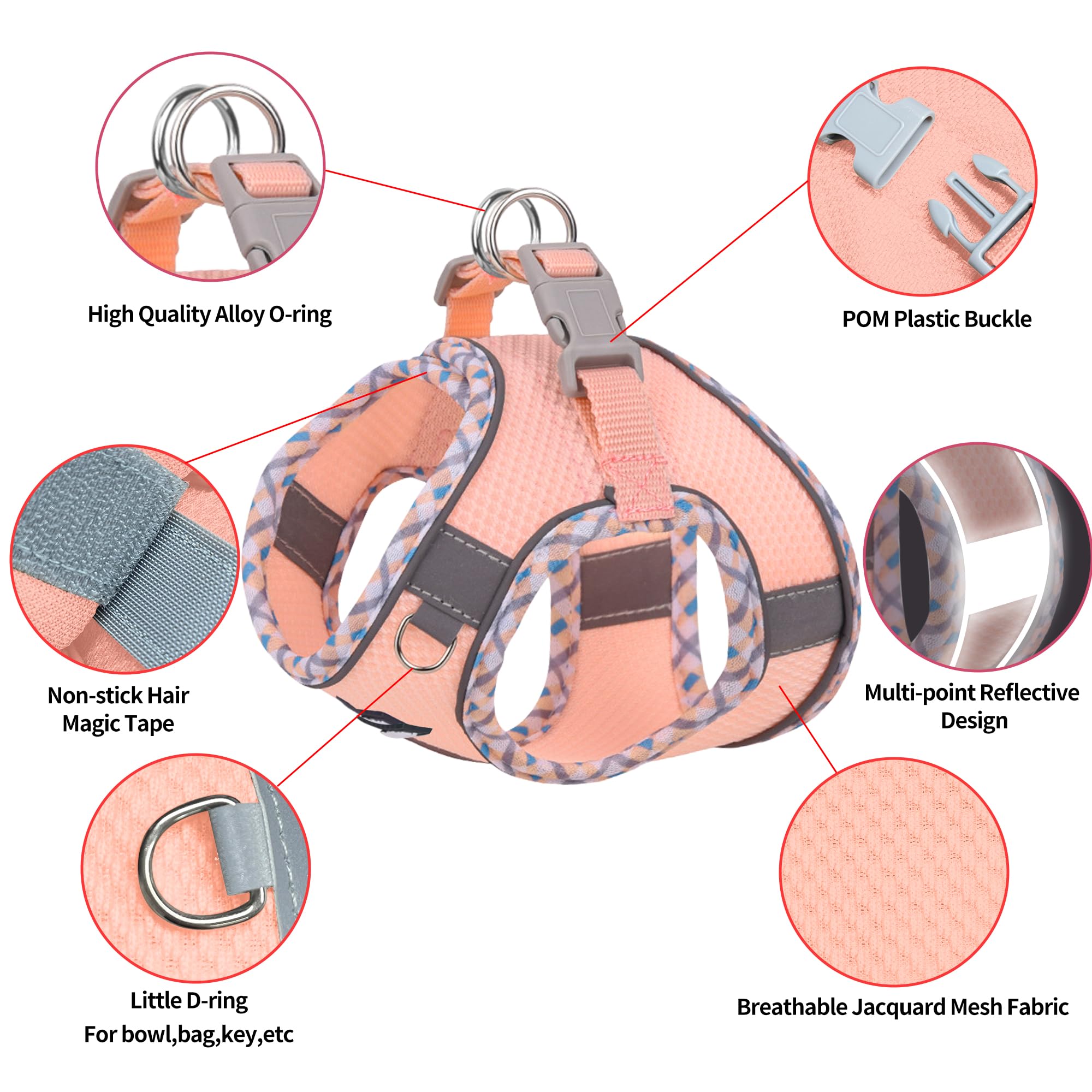 Aiitle boucle double D solide pour fixation sûre de la laisse