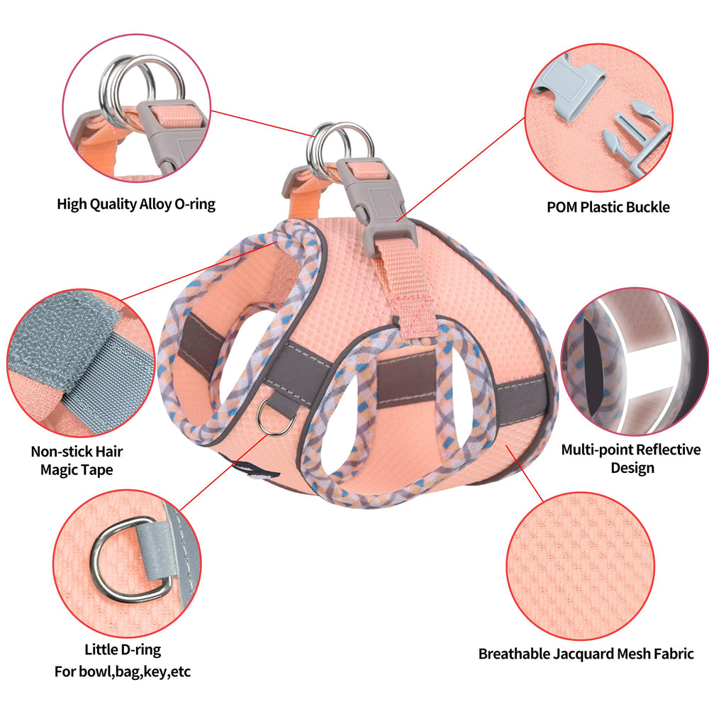 Aiitle boucle double D solide pour fixation sûre de la laisse