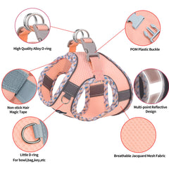 Aiitle boucle double D solide pour fixation sûre de la laisse
