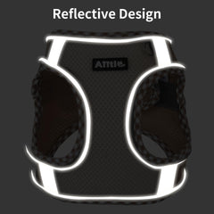 Aiitle boucles et double D-ring renforcent fixation et sécurité