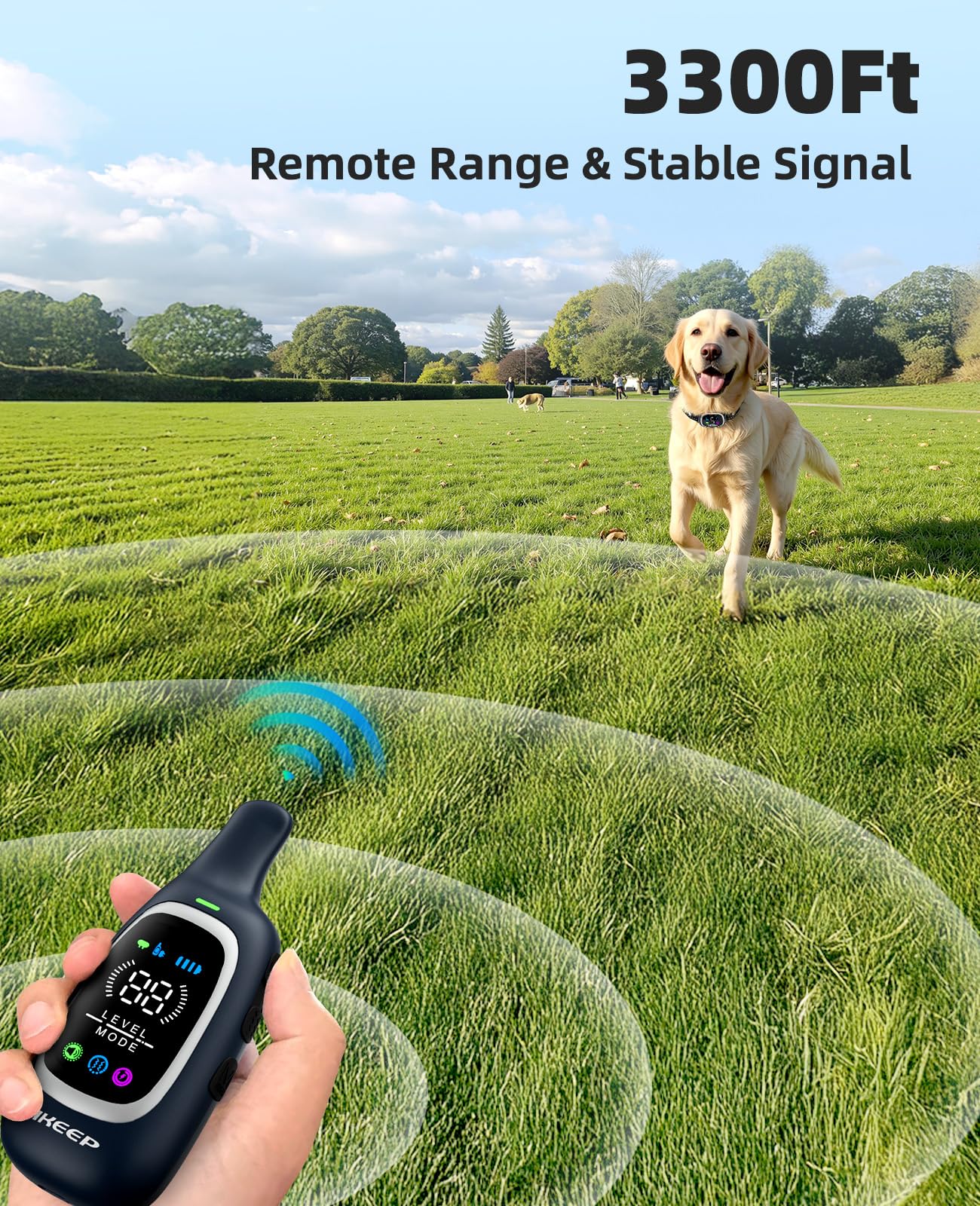 AIKEEP collier porté sur chien en extérieur, entraînement à distance sans entrave des mouvements