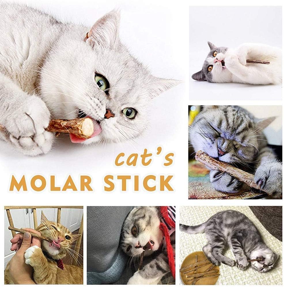 AILUKI mise en situation salon montre chat jouant et divertissement domestique