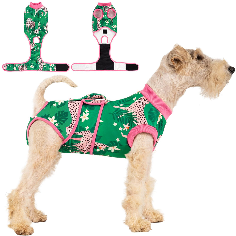 Aimydog combinaison face montrant protection confortable