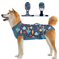 Aimydog vue avant du produit sur emballage montrant design protecteur et confort