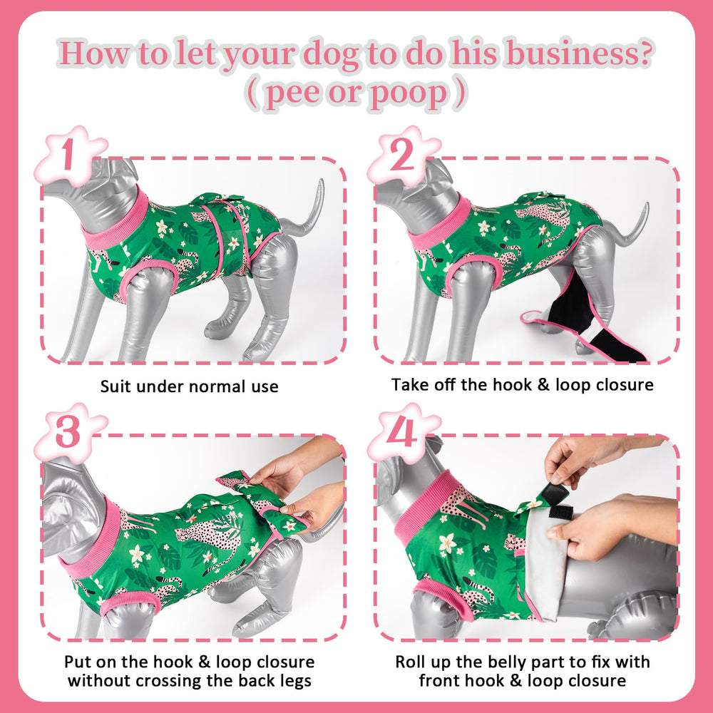 Aimydog détail des attaches velcro pour mise en place facile