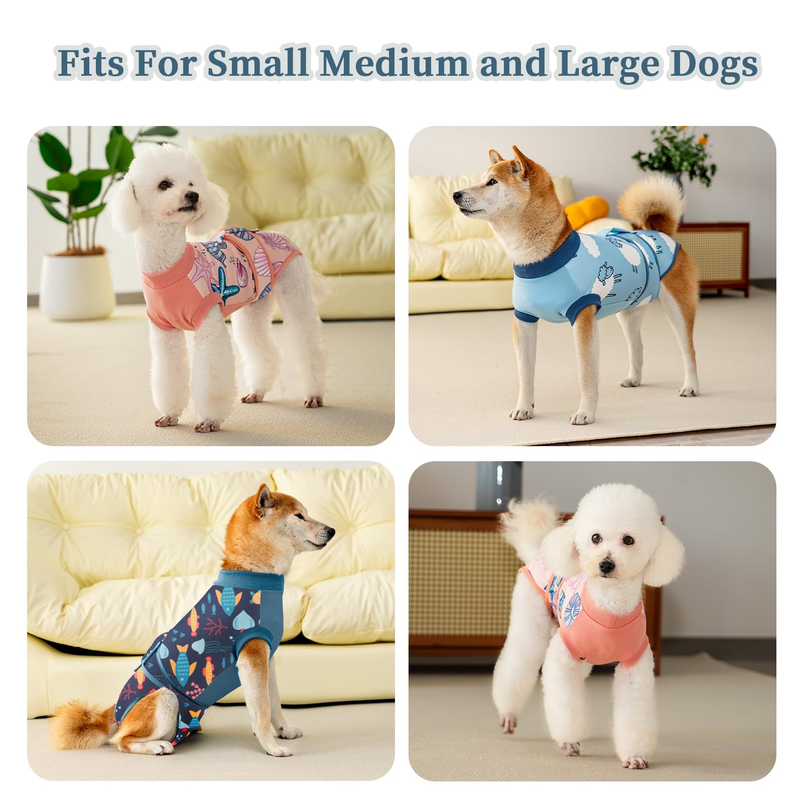 Aimydog zoom sur fermetures velcro, assure ajustement sûr et maniabilité