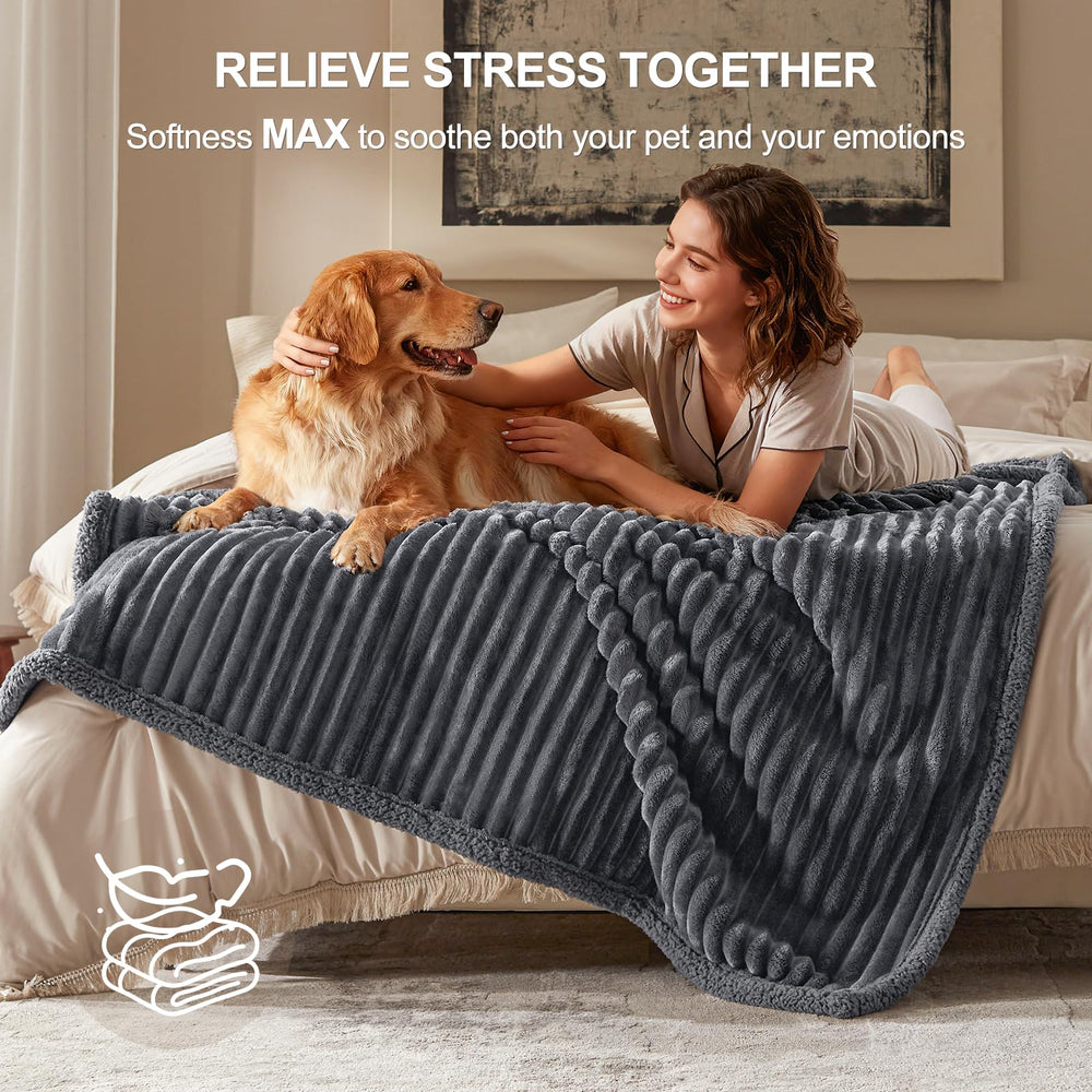 AIPERRO grand chien allongé sur couverture apportant confort et calme