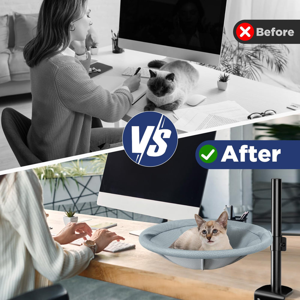 AIPERRO chat utilise hamac sur bureau pour compagnie lors travail