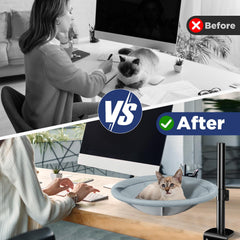 AIPERRO chat utilise hamac sur bureau pour compagnie lors travail