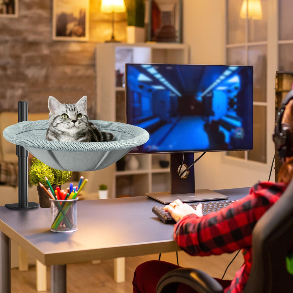 AIPERRO scène de vie chat détendu près de son propriétaire
