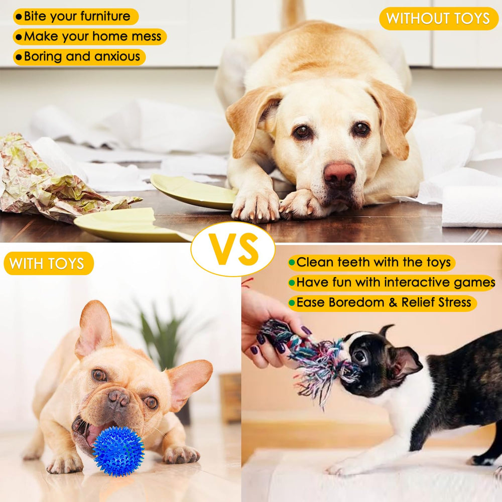 Aipper chiot joue dehors avec jouets pour exercice et stimulation