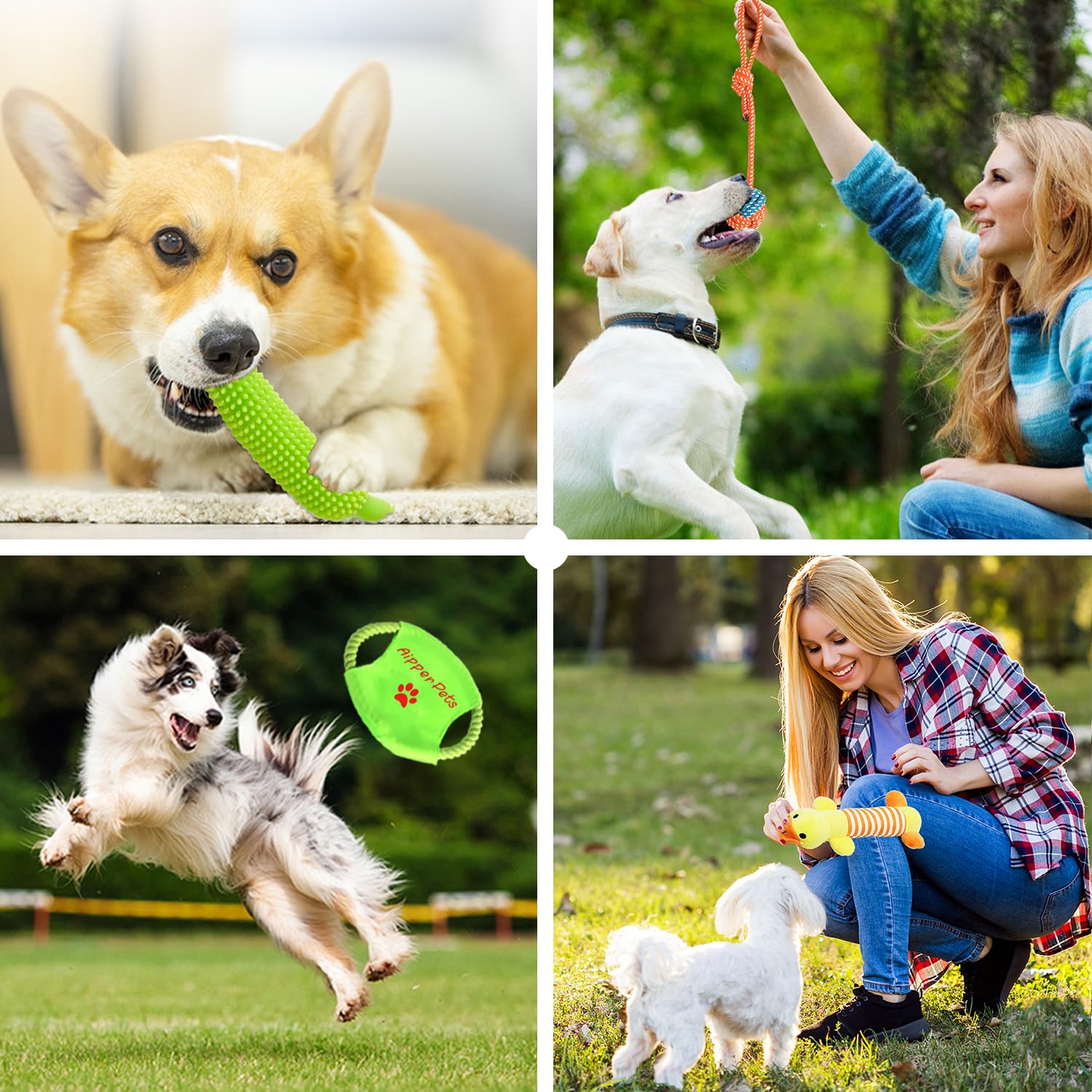 Aipper comparaison taille avec main montre échelle pour petits chiens