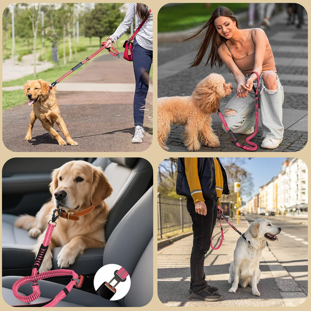 AIRUIDOG grand chien en promenade montrant maintien et liberté contrôlée