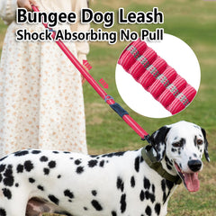 AIRUIDOG détail du bungee amortisseur réduisant les à-coups en marche