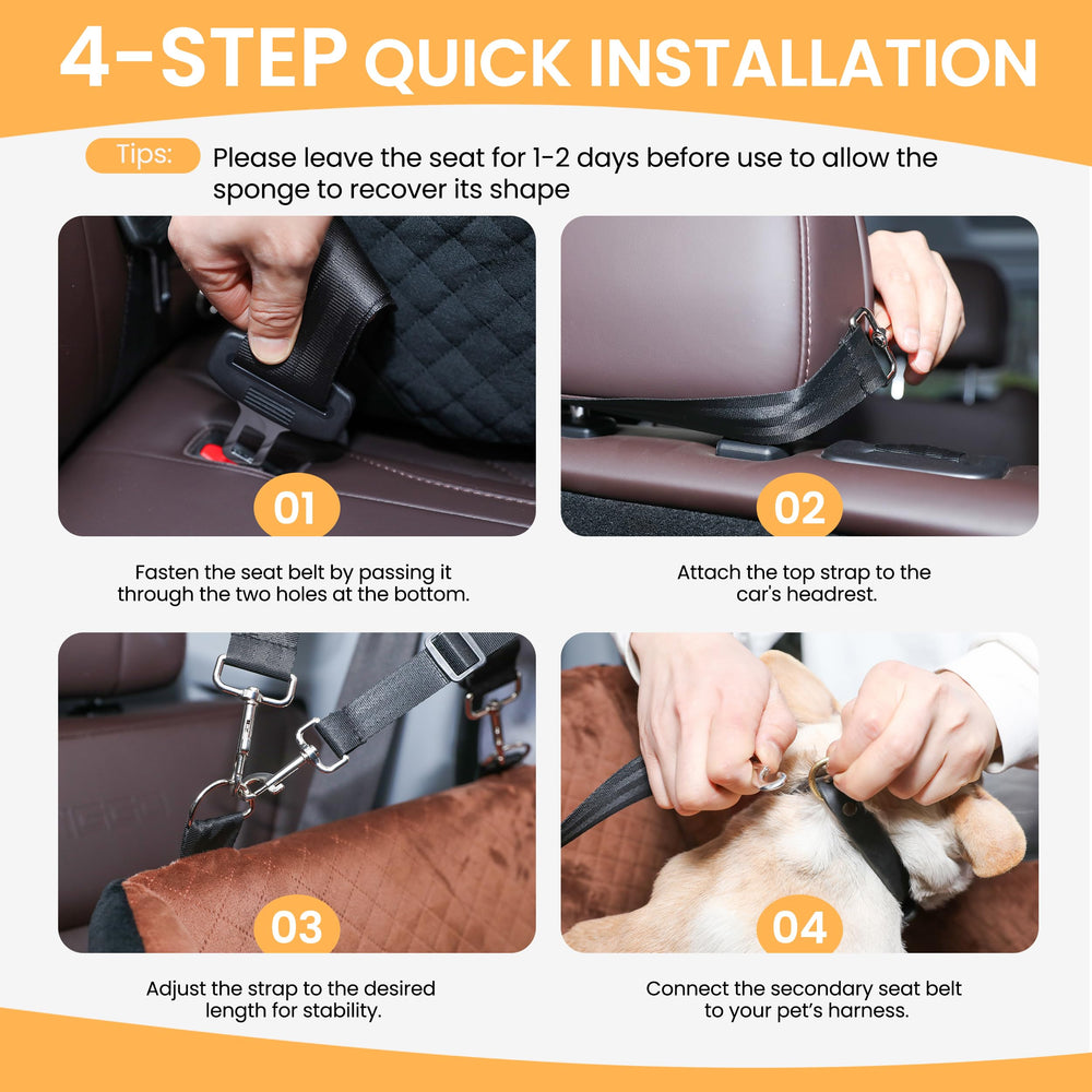 AiryCute chien assis dans le booster bénéficiant d'une meilleure vue