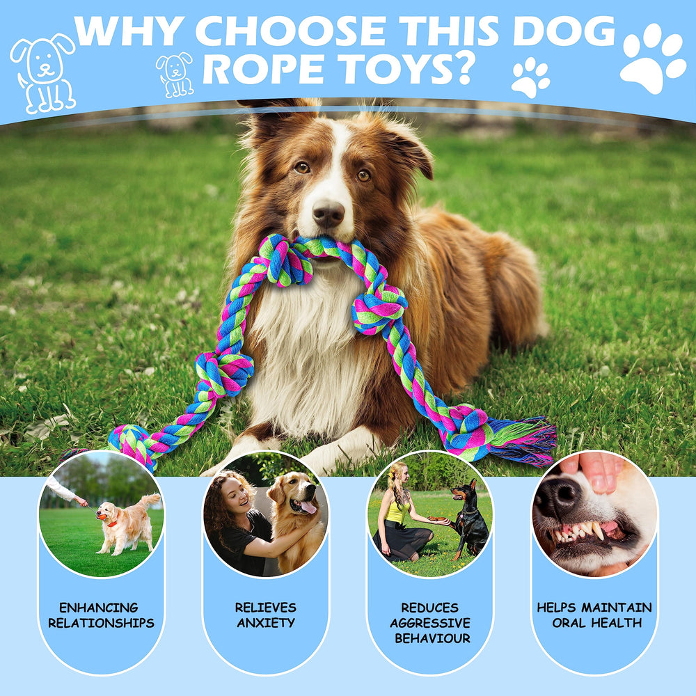 Aitmexcn chien jouant tir à la corde pour exercice actif