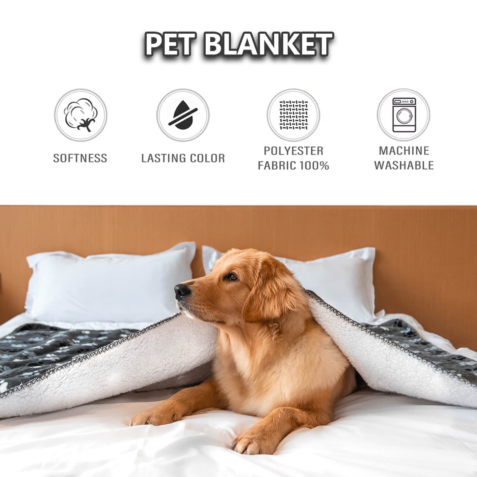 AIWEK comparaison taille avec chien moyen montrant couvertureampleur