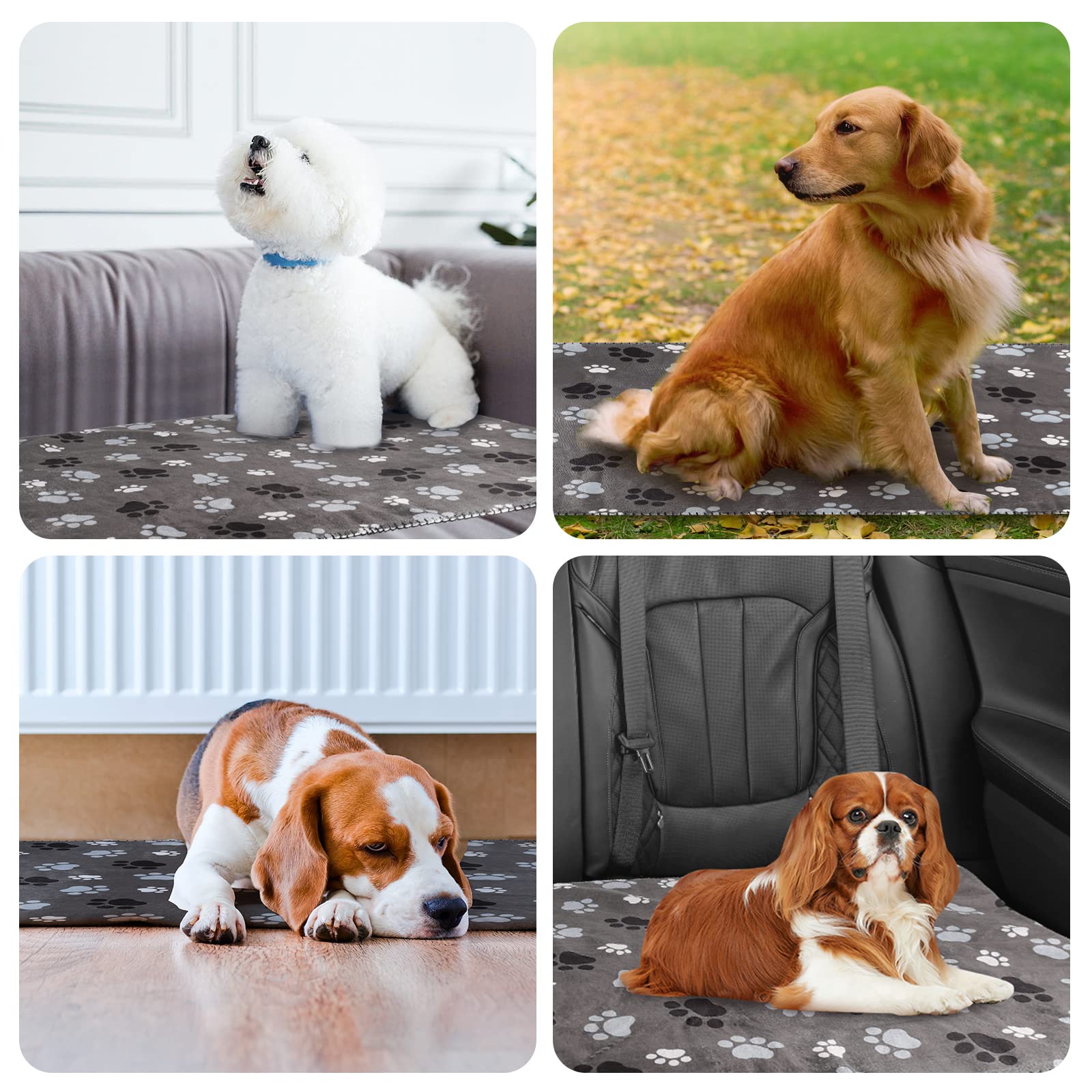 AIWEK chien dormant sur couverture illustrant confort et tranquillité
