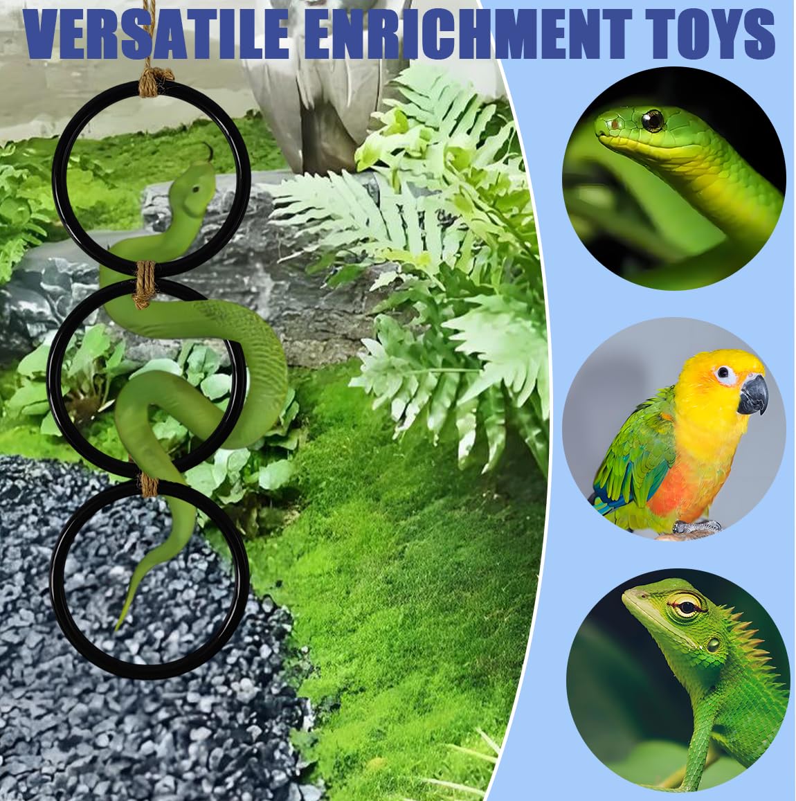 Ajqxh comparaison de taille avec une main pour évaluer dimensions