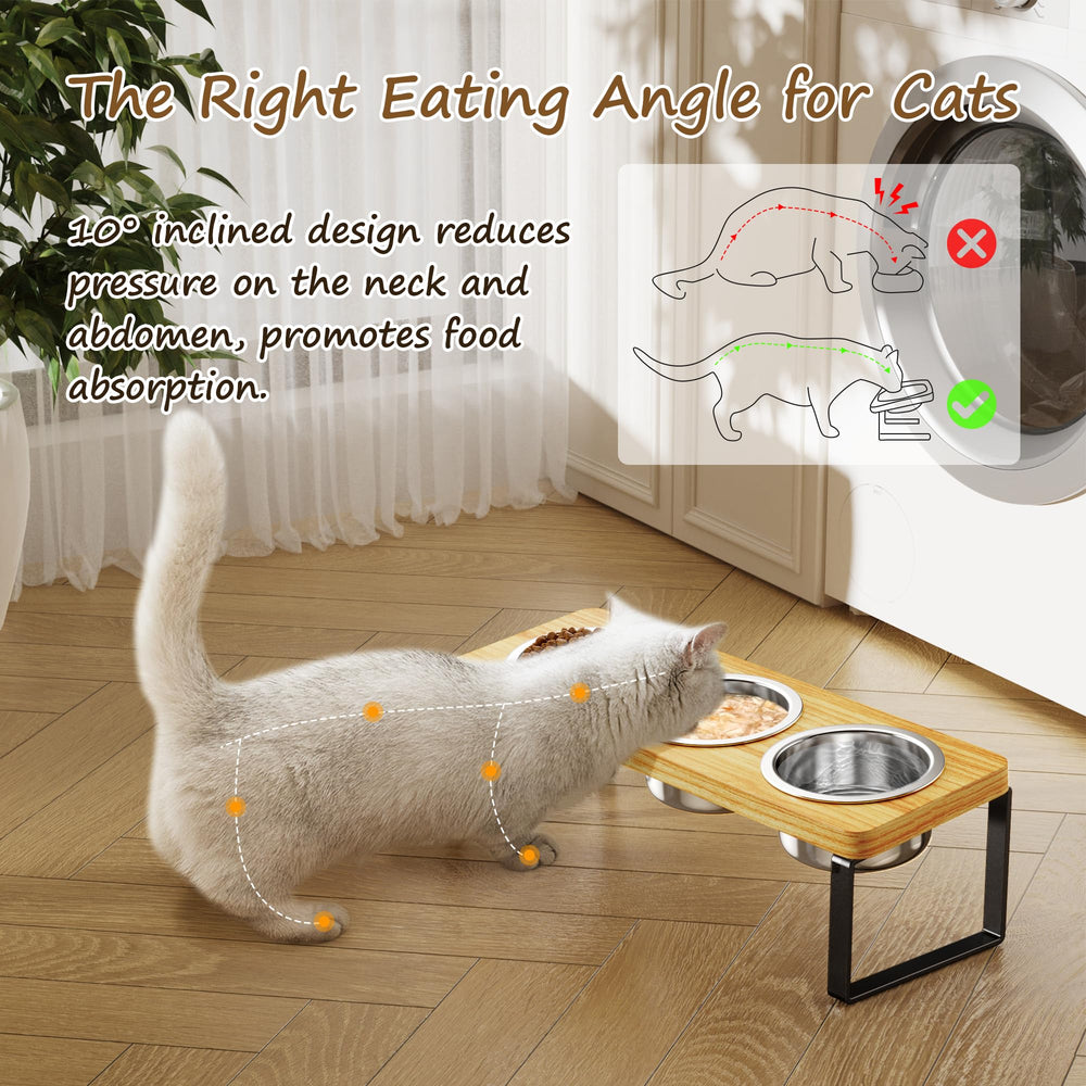 AKAOLA comparaison taille montrant proportions pour petits animaux