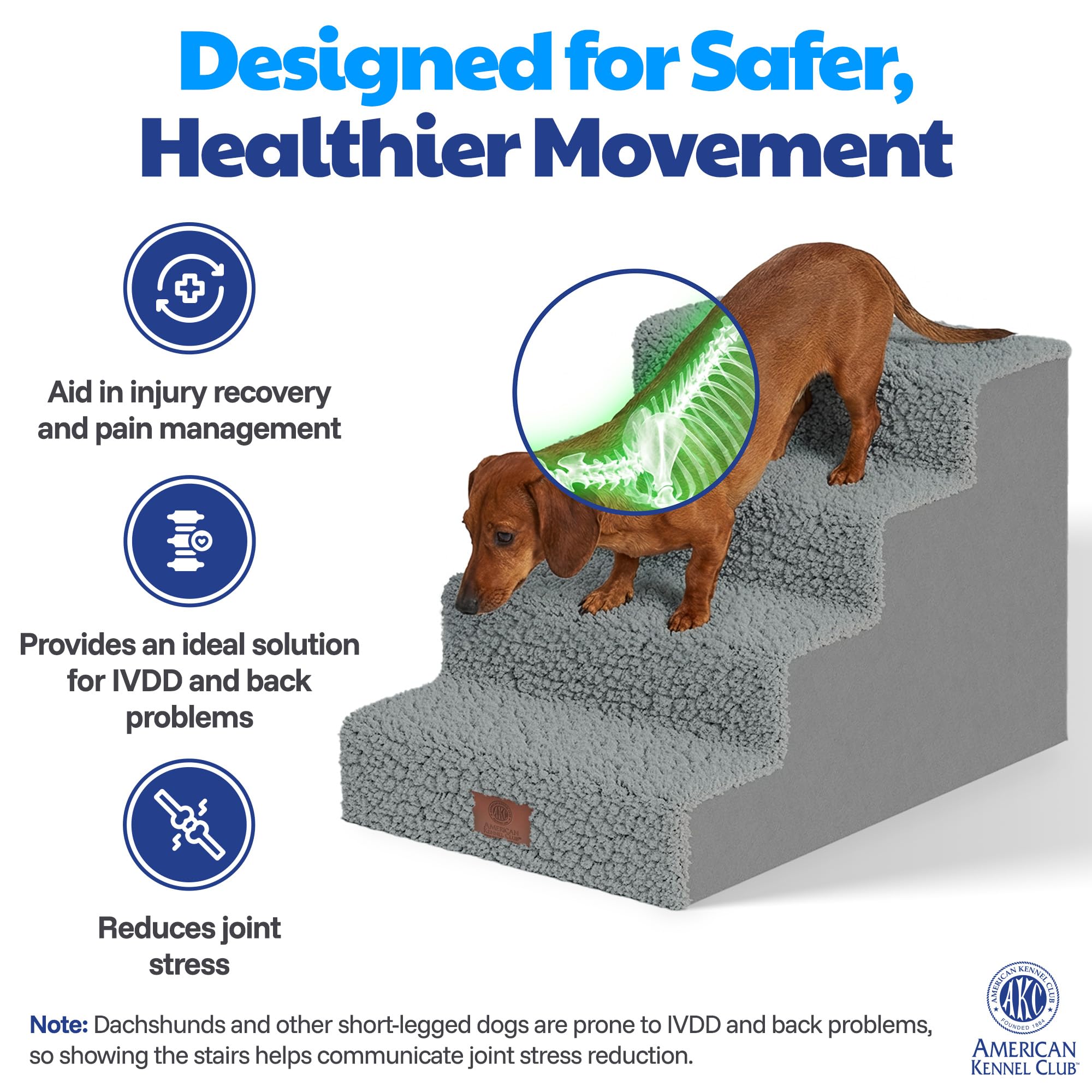 AKC escalier en usage au canapé aidant un chat à monter