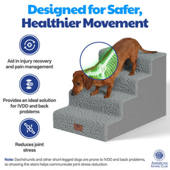 AKC escalier en usage au canapé aidant un chat à monter