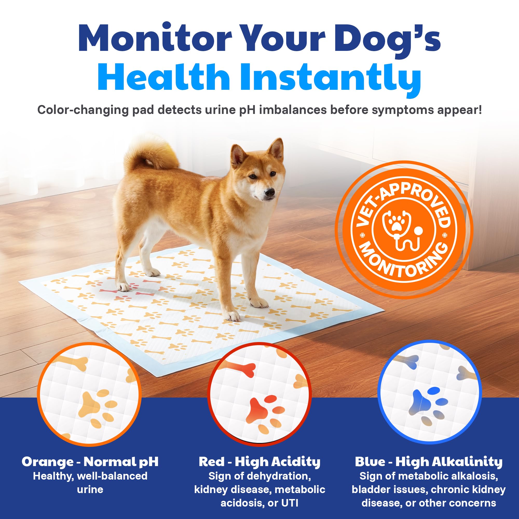 AKC détail couche Health+ indiquant couleur utile pour surveillance
