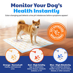 AKC détail couche Health+ indiquant couleur utile pour surveillance