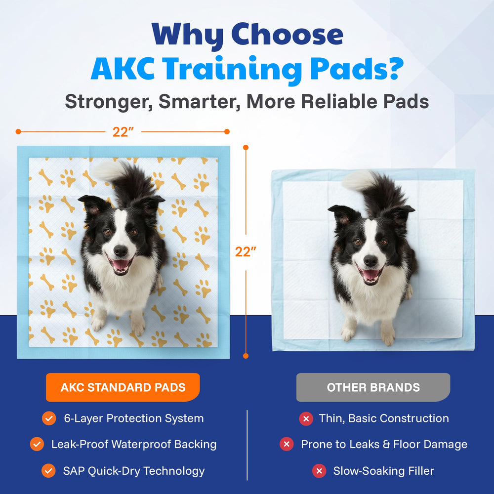 AKC comparaison taille 22x22 avec main pour évaluer dimensions
