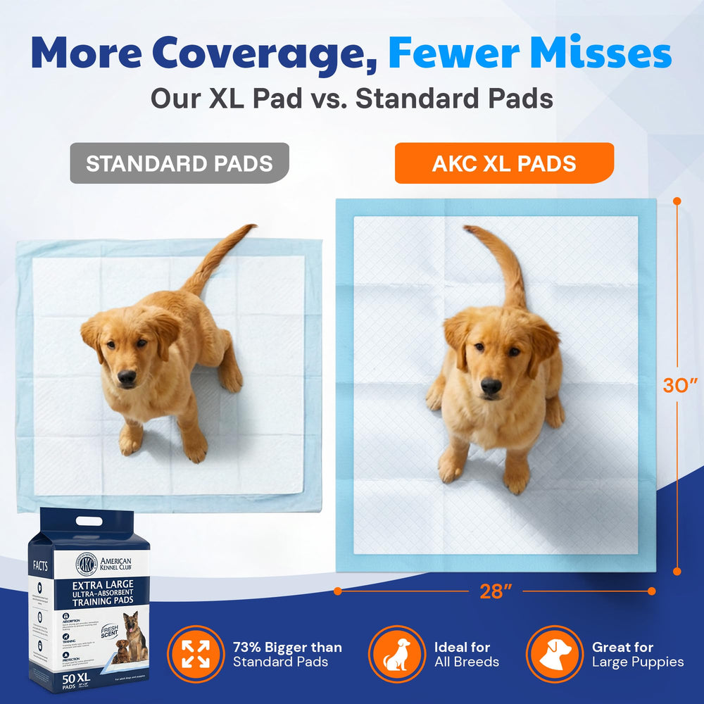 American Kennel Club comparaison taille XL avec une main, grande surface utile
