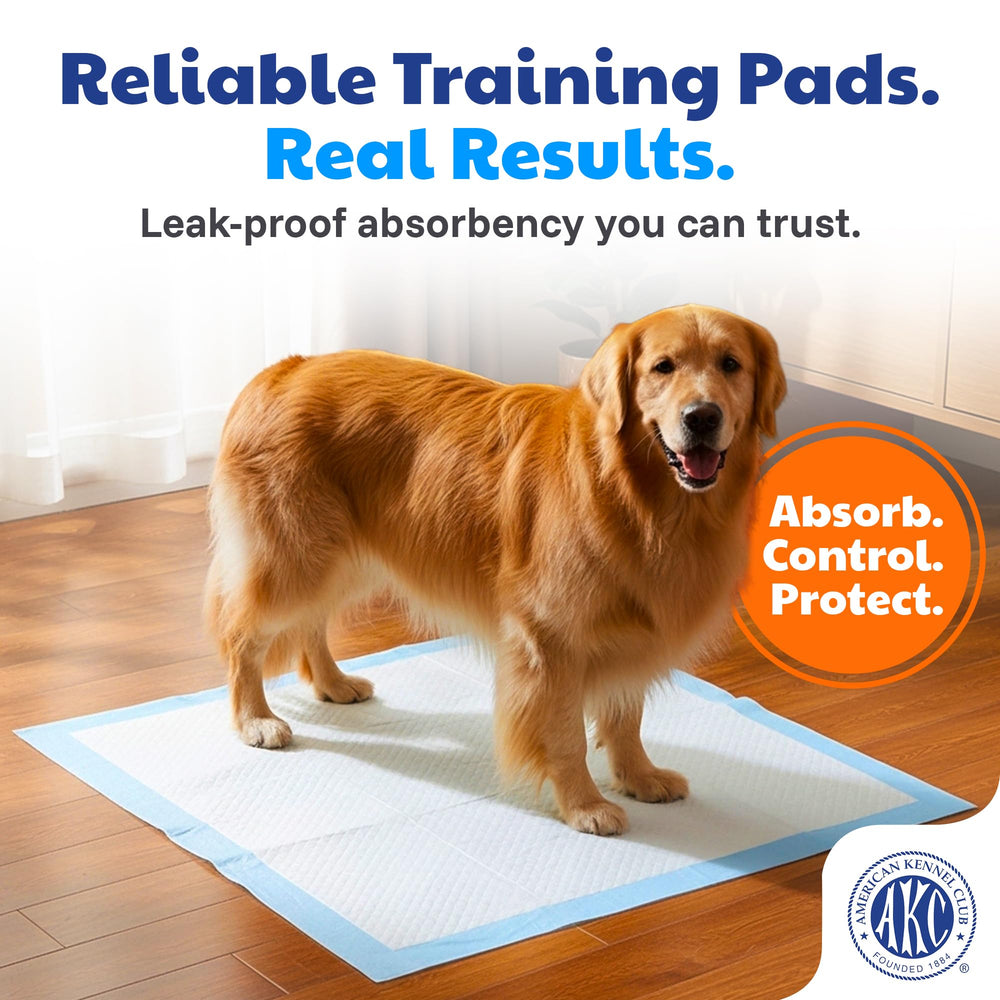 American Kennel Club côté imperméable bleu protégeant le sol contre les fuites