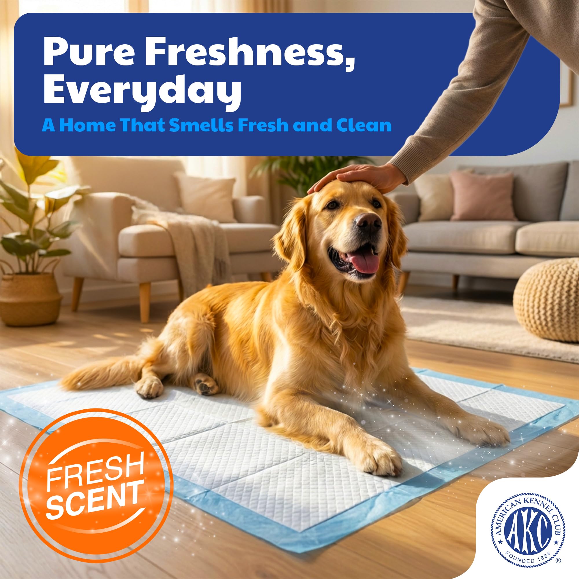 American Kennel Club gros plan des fibres absorbantes SAP, absorption rapide