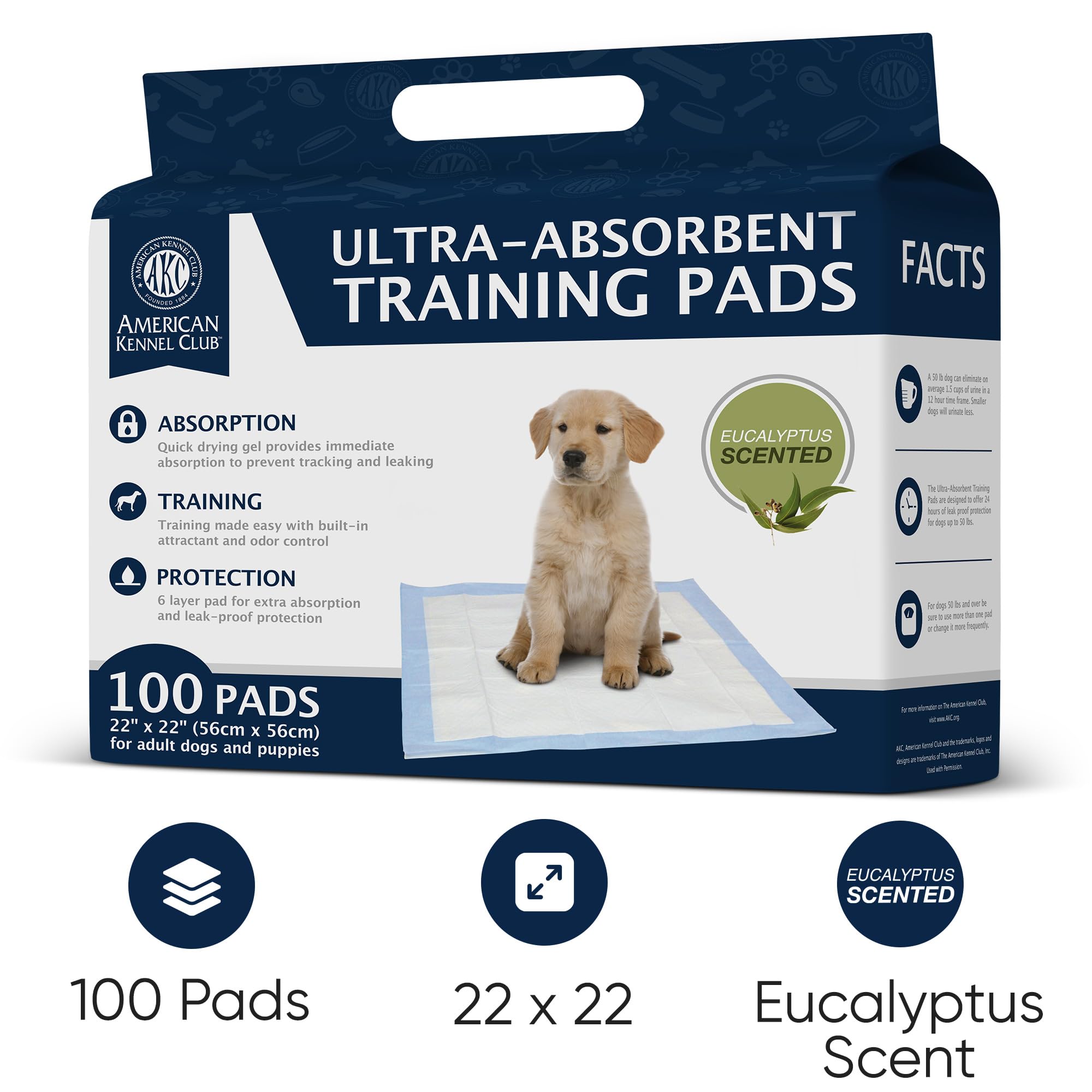 American Kennel Club - gros plan de la surface douce, confort pour les pattes