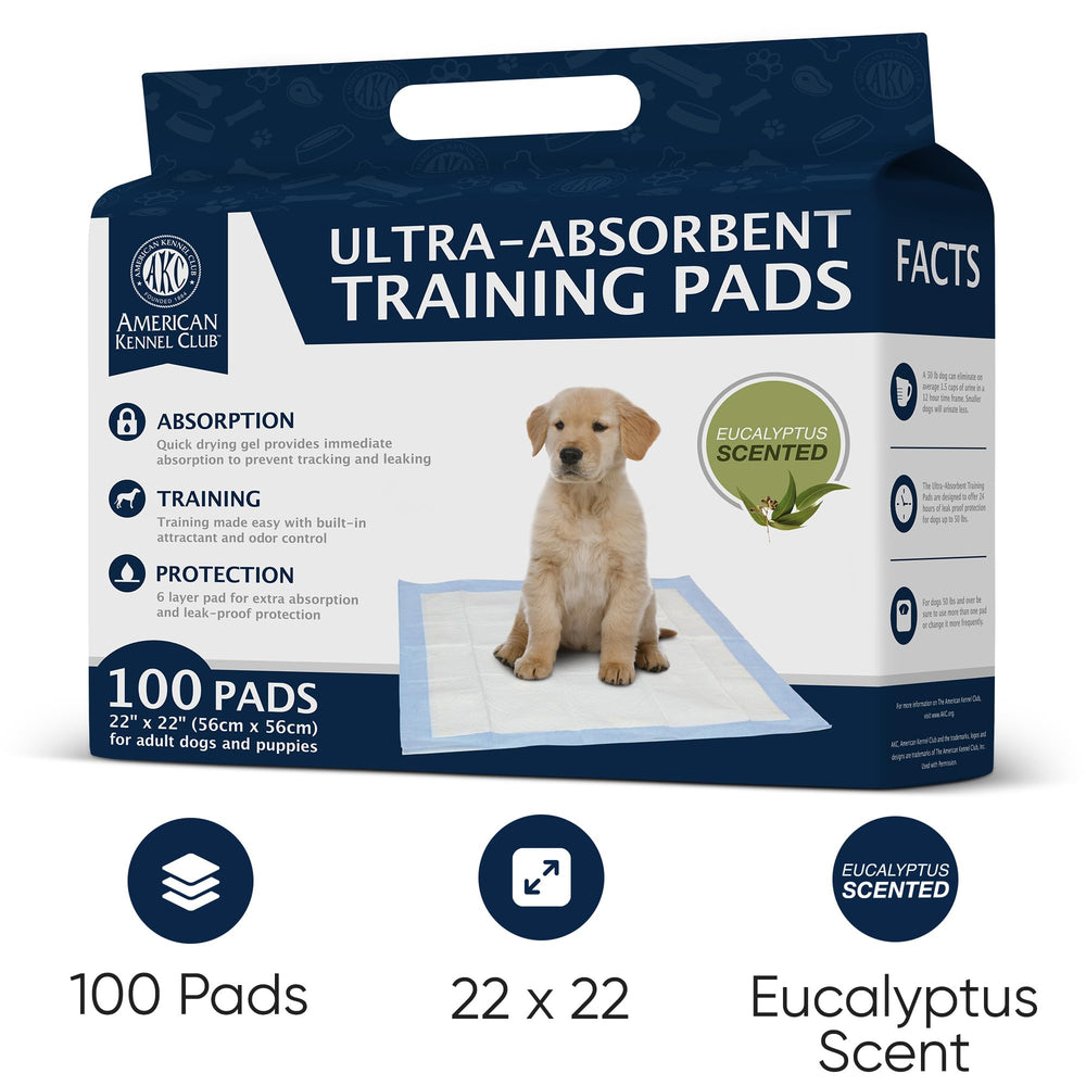 American Kennel Club - gros plan de la surface douce, confort pour les pattes