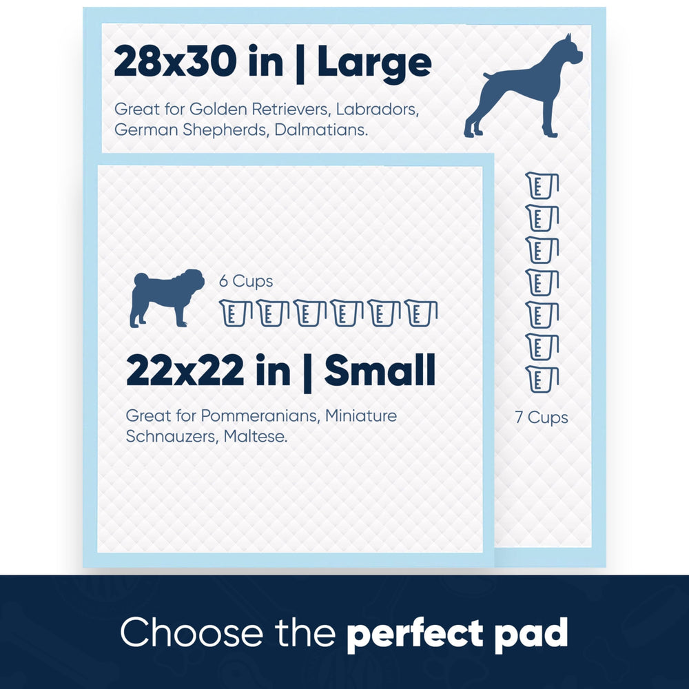 American Kennel Club - démonstration remplacement du tapis souillé, élimination hygiénique