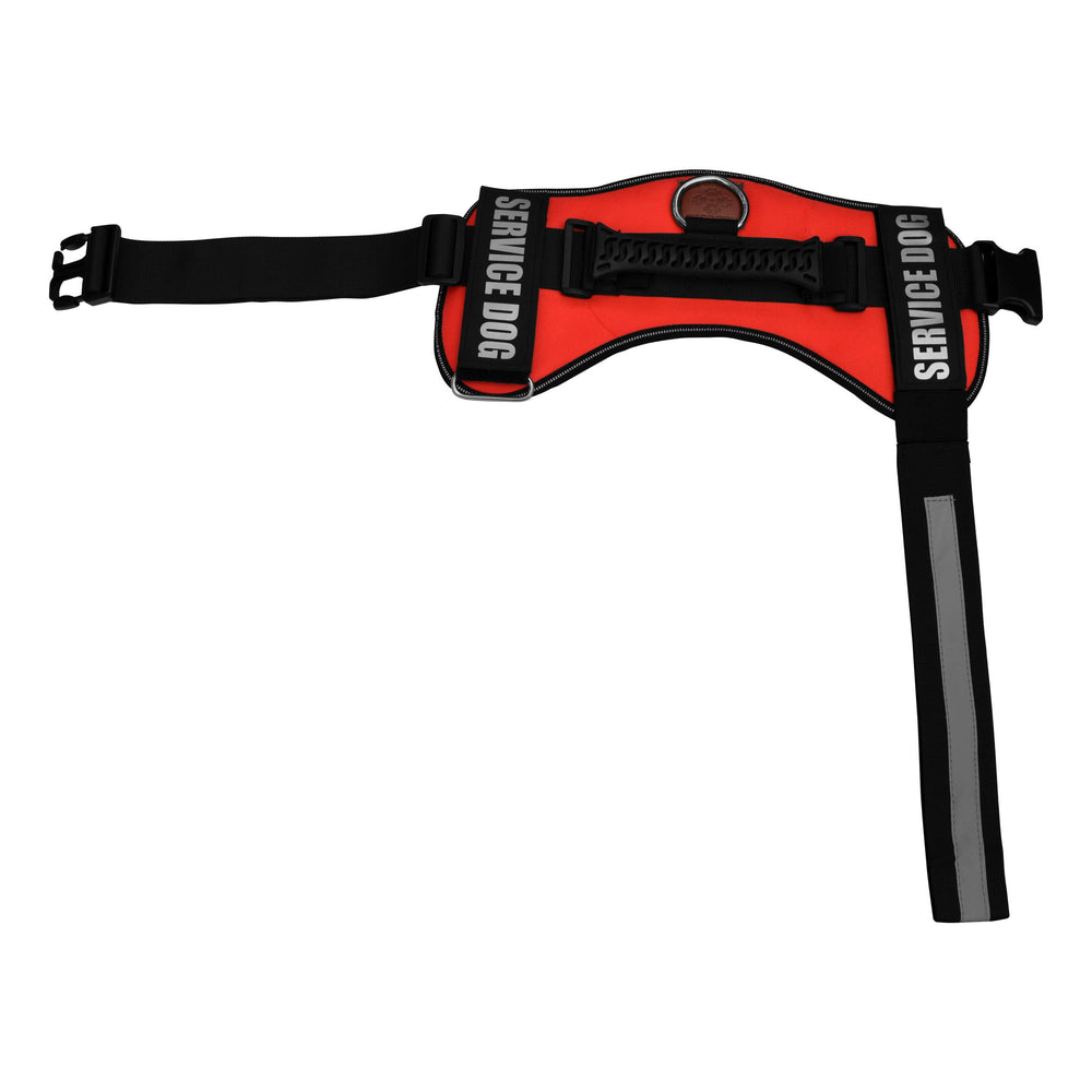 ALBCORP emballage contenant gilet et accessoires inclus pour l'usager