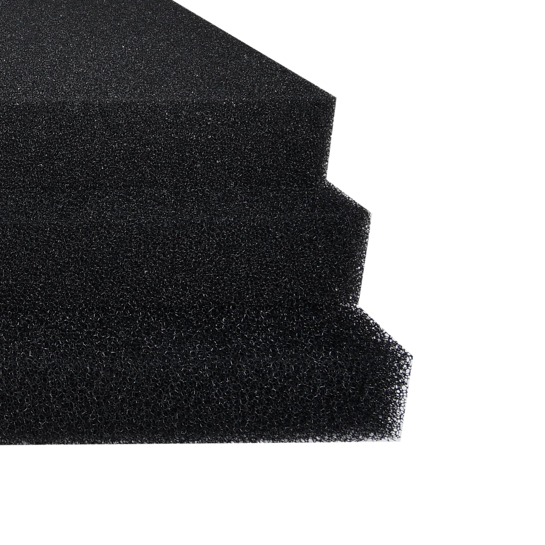 ALEGI mousse posé à côté d'une règle, montre taille 20x20x1.57"