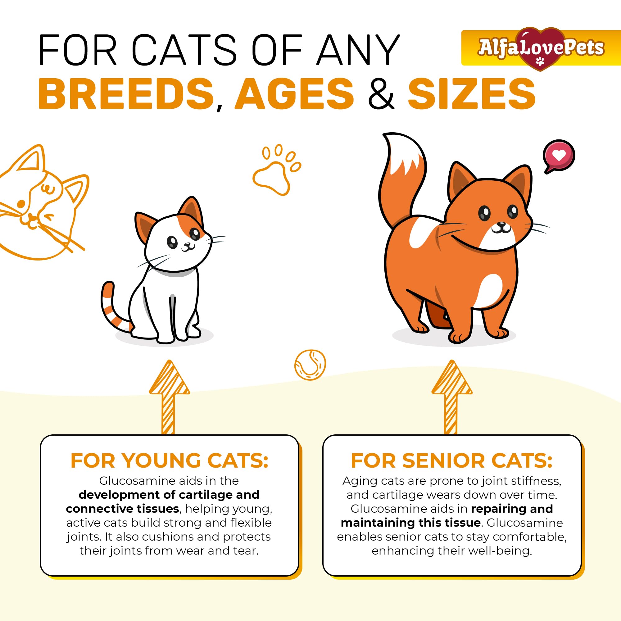 Alfa Love Pets ajouté à la nourriture montrant acceptation par le chat