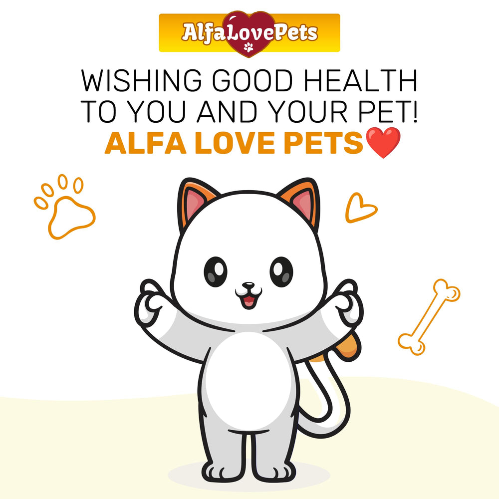 Alfa Love Pets chat détendu sur canapé suggérant confort et bien-être