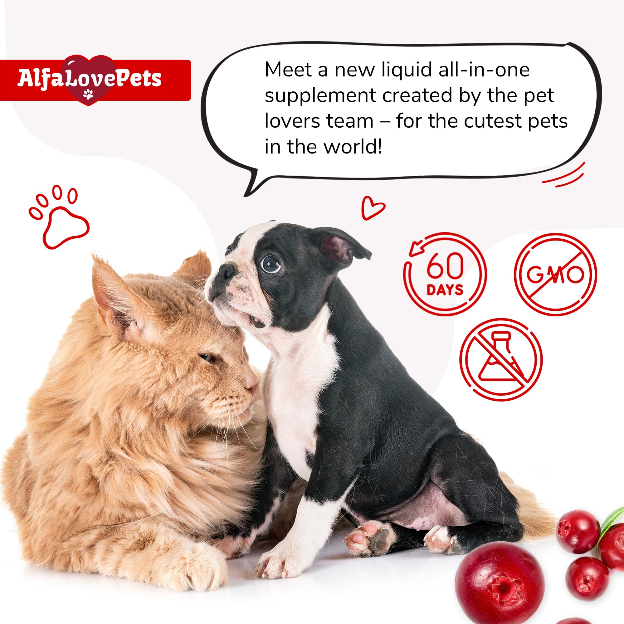 Alfa Love Pets petit chien recevant le supplément liquide pour mobilité et appétit