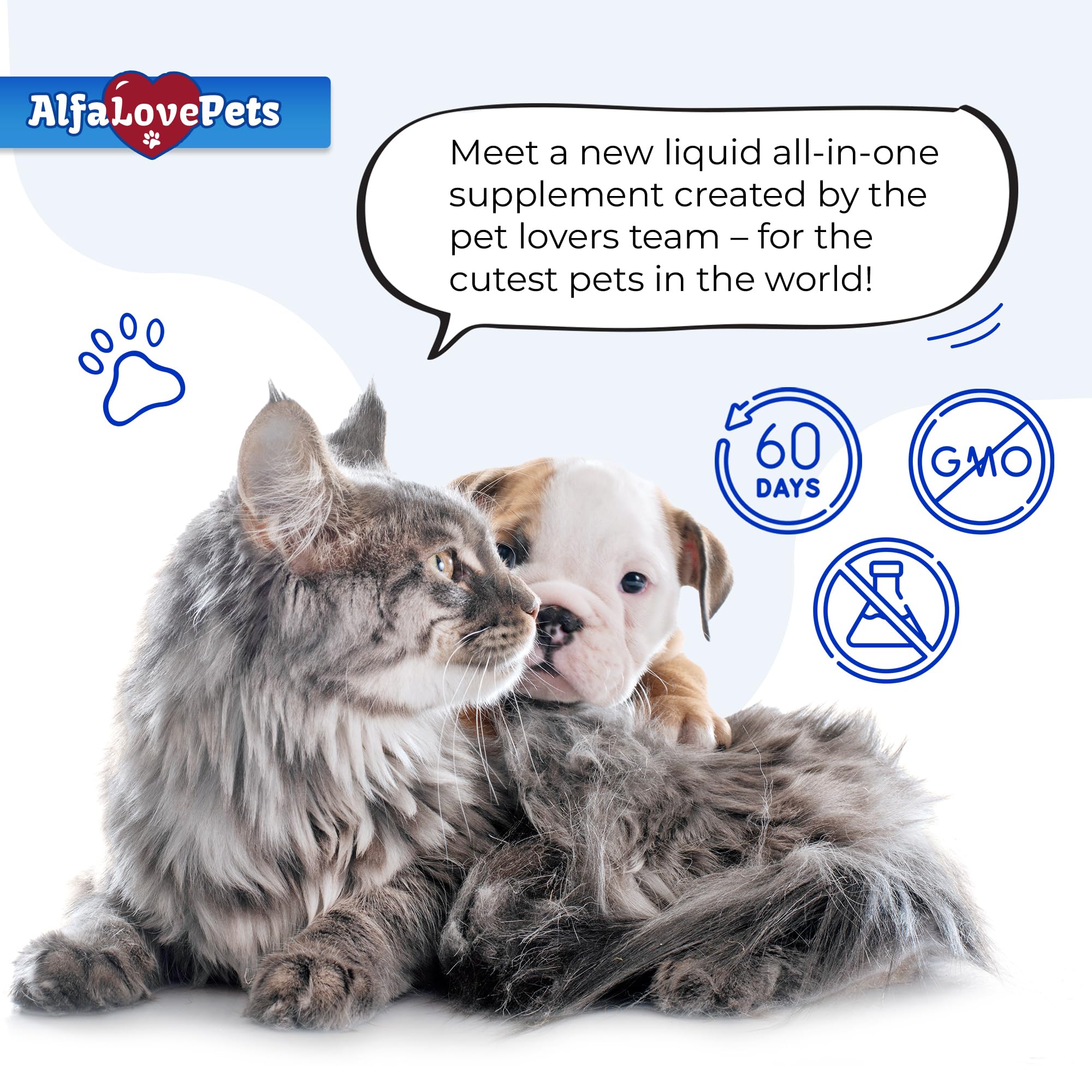 Alfa Love Pets administration chat sur genoux calme et sûr