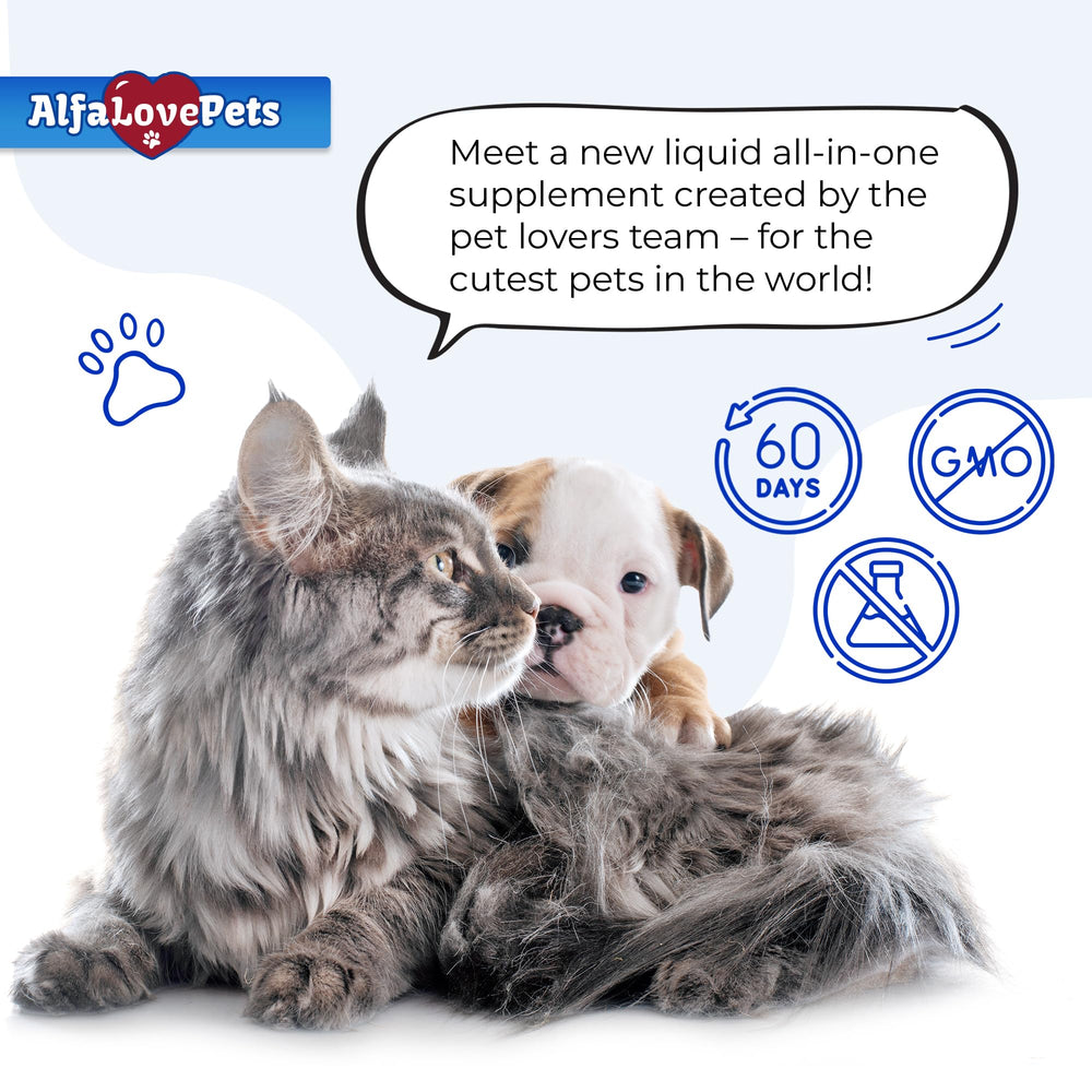 Alfa Love Pets administration chat sur genoux calme et sûr