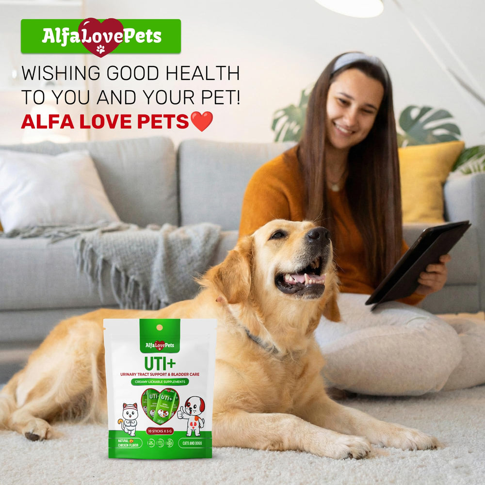 Alfa Love Pets stick ajouté dans la gamelle pour appétit amélioré