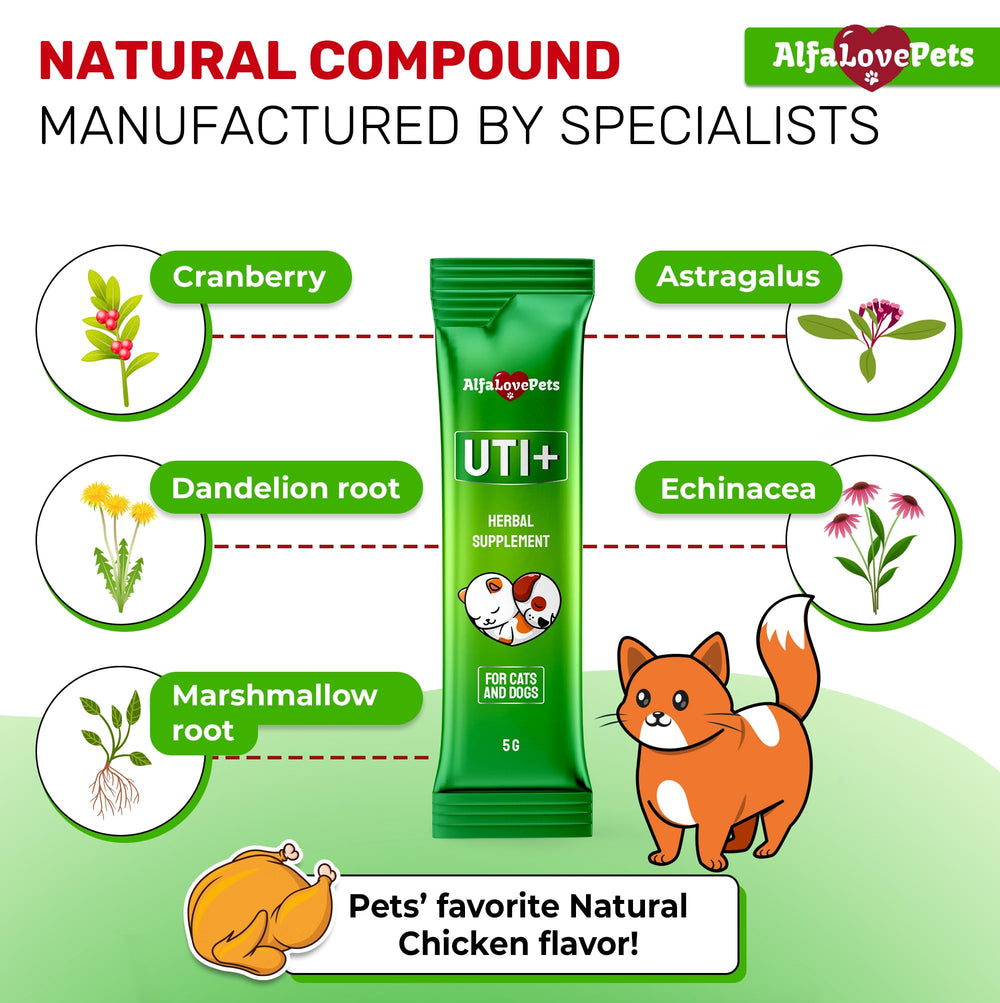Alfa Love Pets stick déposé sur croquette pour appétence accrue