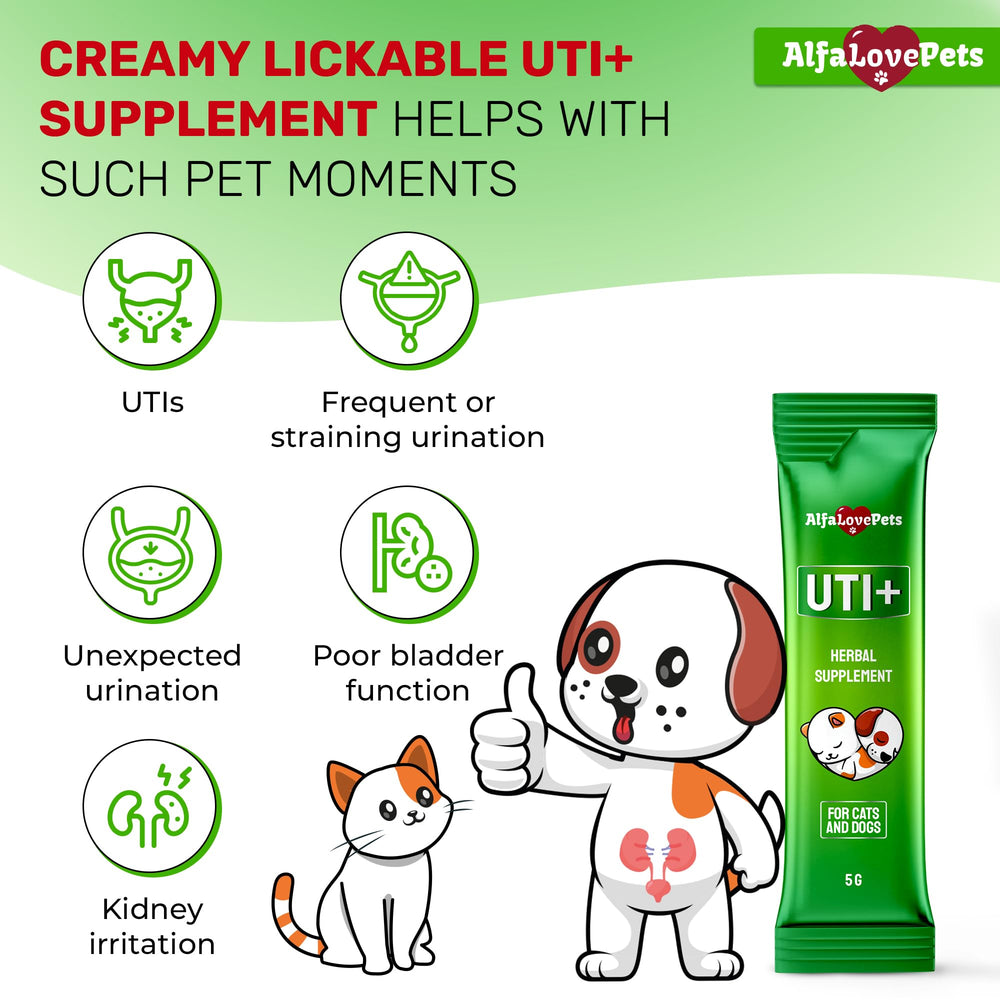 Alfa Love Pets texture crémeuse sur stick facile à administrer